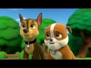 دوريات المخلاب الموسم 1