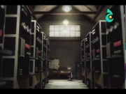 التحليق مع بيرد