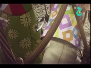 التحليق مع بيرد