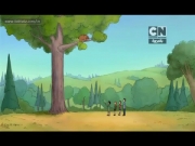 الدببة الثلاثة 