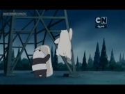 الدببة الثلاثة 