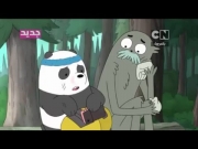 الدببة الثلاثة 