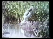 افتح يا سمسم الجزء 1