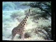 افتح يا سمسم الجزء 1