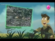 المستكشفان 