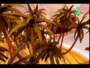 مغامرات غارفيلد 