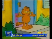 غارفيلد والأصدقاء 