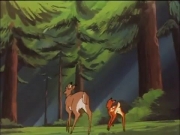 فريق الإنقاذ 