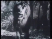 دوت صديقة الطبيعة 