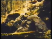 دوت صديقة الطبيعة 