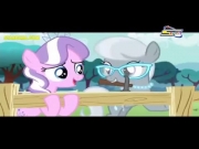 مهرتي الصغيرة الصداقة رائعة 