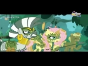 مهرتي الصغيرة الصداقة رائعة 