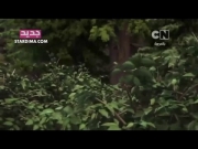 تنانين سباق الى الحافة الجزء الثالث 