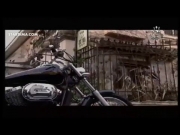 الدراج المقنع مخلب التنين 