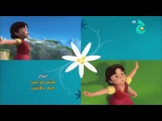 مغامرات هايدي 