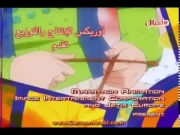 فريق النجوم 