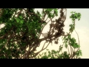 قصص الآيات في القرآن 