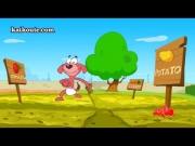 فئران ظريفة 