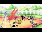 بابي لوني تيونز 