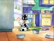 بابي لوني تيونز 