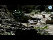 كان ياما كان الجزء الثاني 