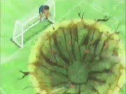 ابطال الكرة الفرسان