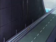 ابطال الكرة الفرسان