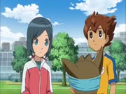 ابطال الكرة الفرسان