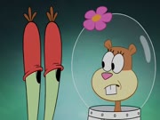 سبونج بوب الموسم 8