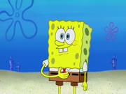 سبونج بوب الموسم 8