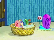 سبونج بوب الموسم 9