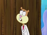 سبونج بوب الموسم 9