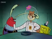 سبونج بوب الموسم 11