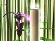 أبطال ليوكو المتطورون الموسم 4