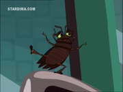 كريبي والحشرات