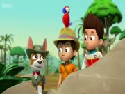 دوريات المخلاب الموسم 3