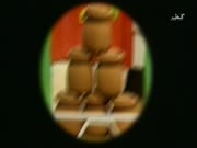 فيفي والزهرات الصغيرات