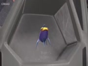 خفايا اعماق المحيط الجزء 2