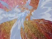 يوغي يو زيكسال الجزء 1