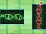 باكوغان الجزء 2