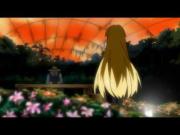 القط الأسود