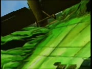 الأجنحة الصينية