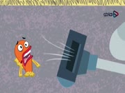 يوميات صافي