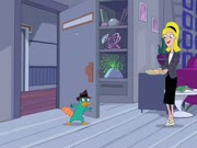 فارس وفادي الموسم 3