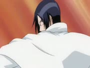 بليتش الموس 8