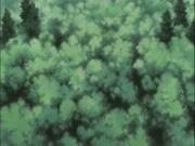 بليتش الموس 13