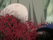 بليتش الموس 13