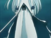 بليتش الموس 14