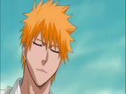 بليتش الموس 15