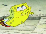 سبونج بوب الموسم 11